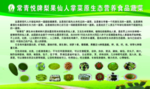 绿色