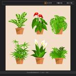 植物