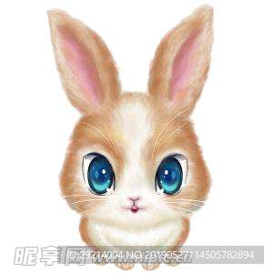 小兔子