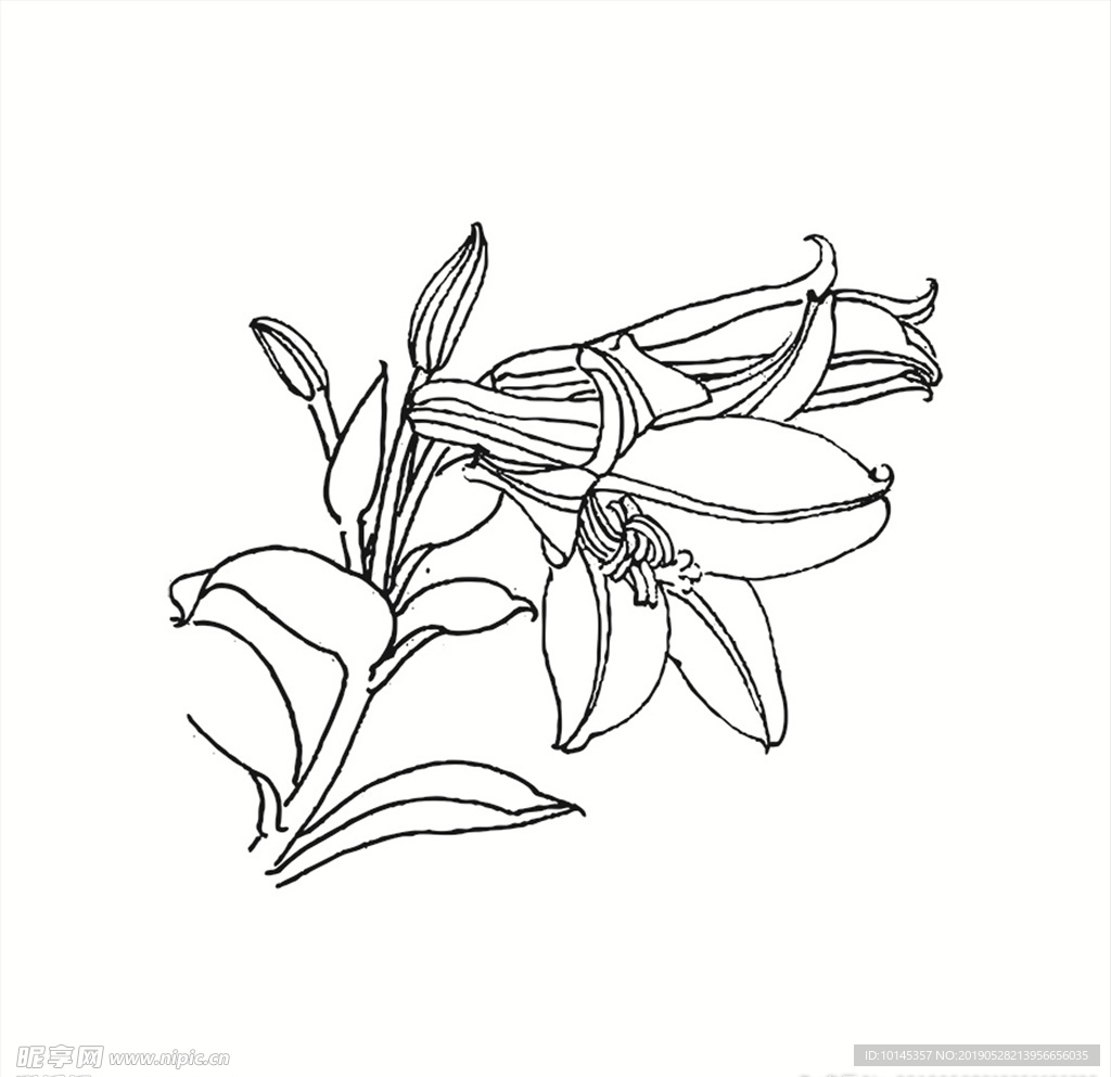 花卉