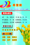 班级标志