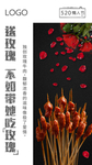 520玫瑰牛肉火锅串串海报