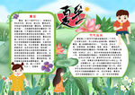 夏季小报