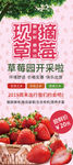 草莓采摘海报设计