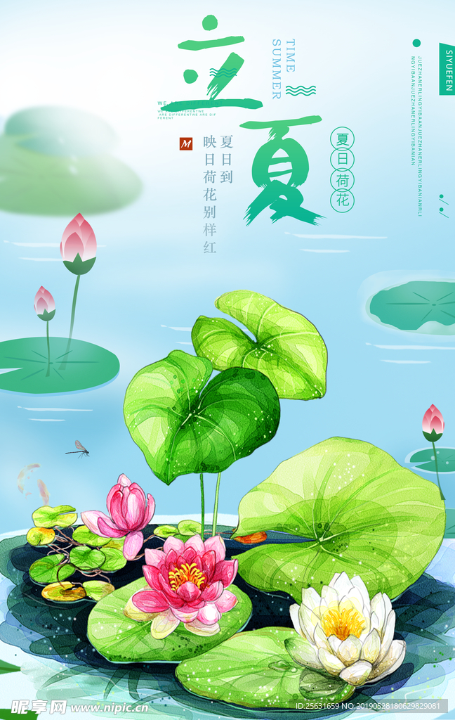 荷塘立夏图