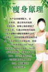 瘦身原理