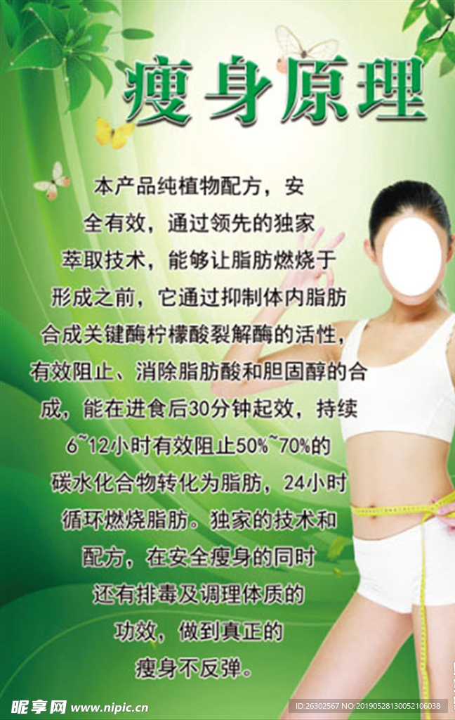 瘦身原理