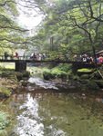 森林公园