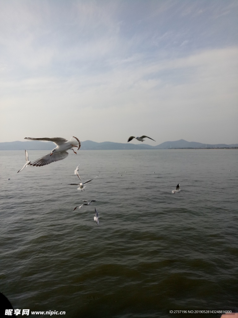 山水