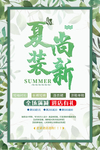 夏装尚新