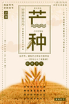 芒种