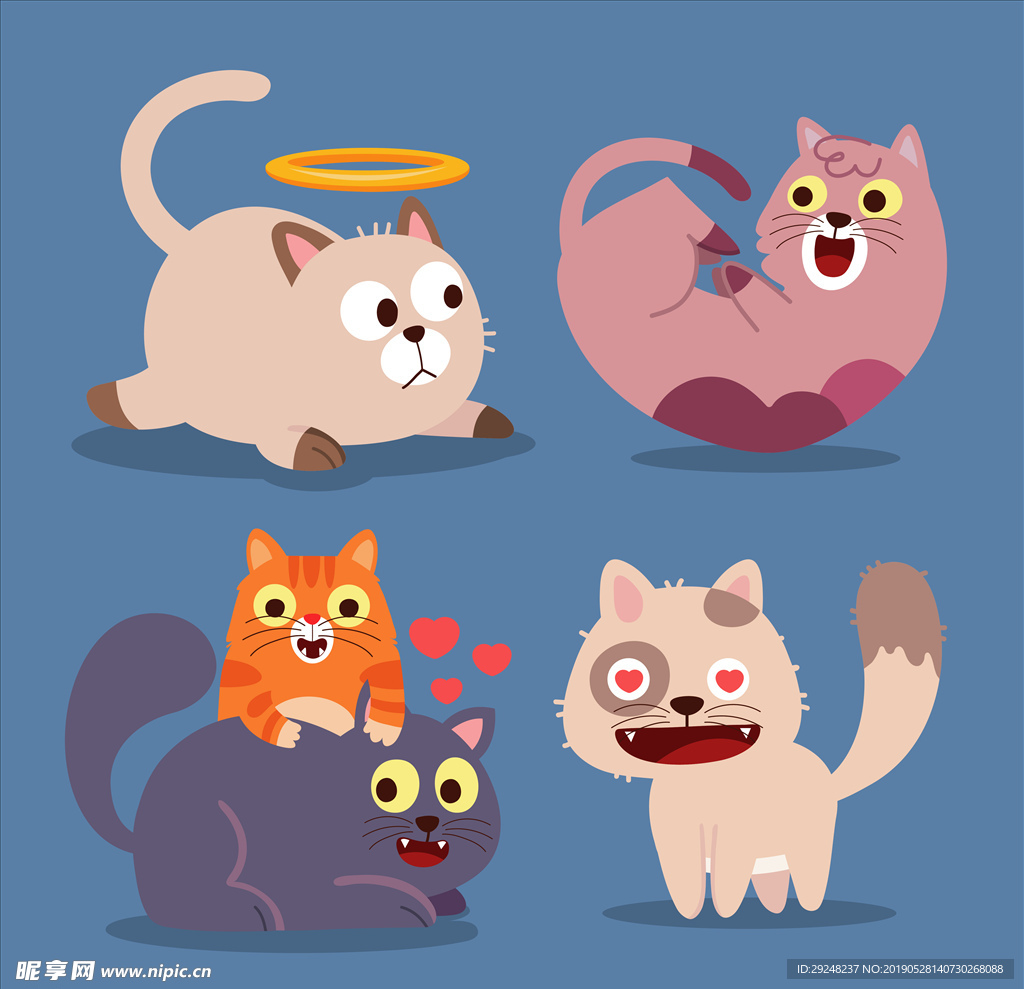 卡通猫