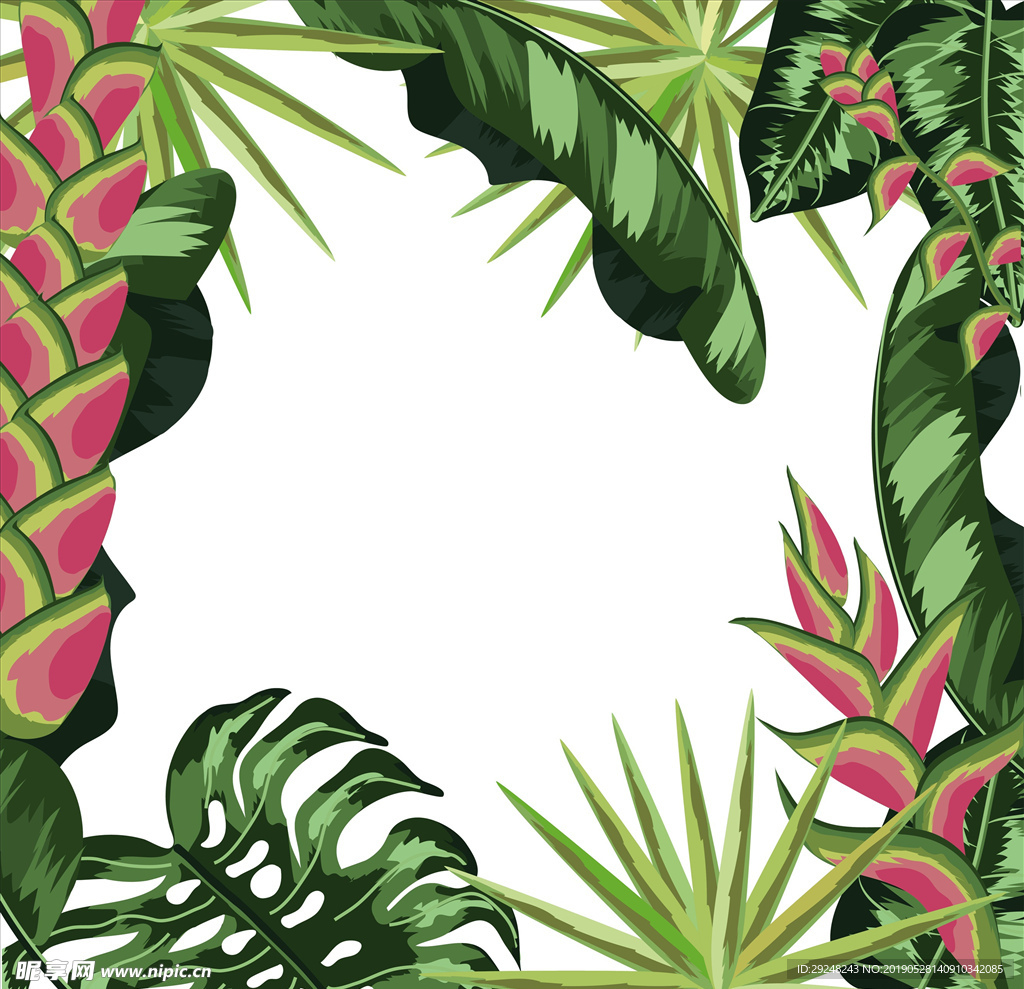 植物树叶