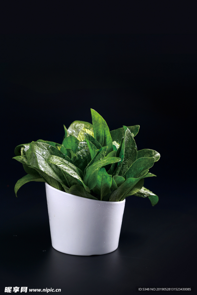 菠菜