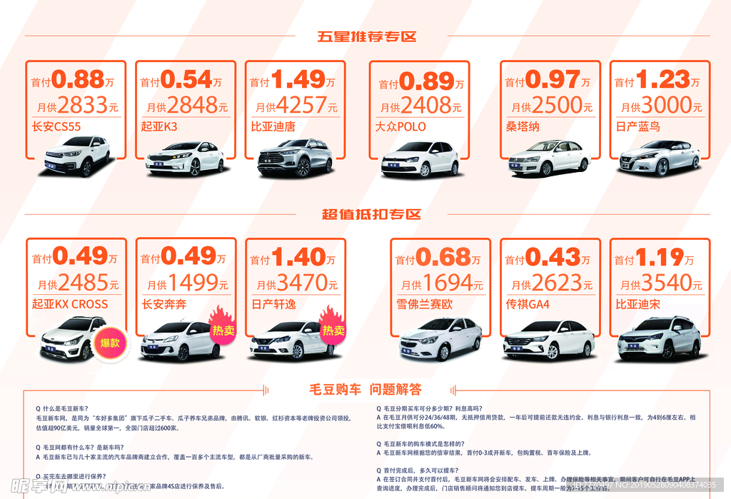 毛豆