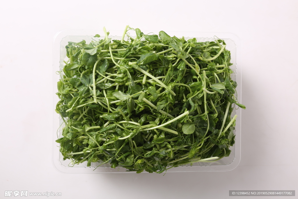 豆芽