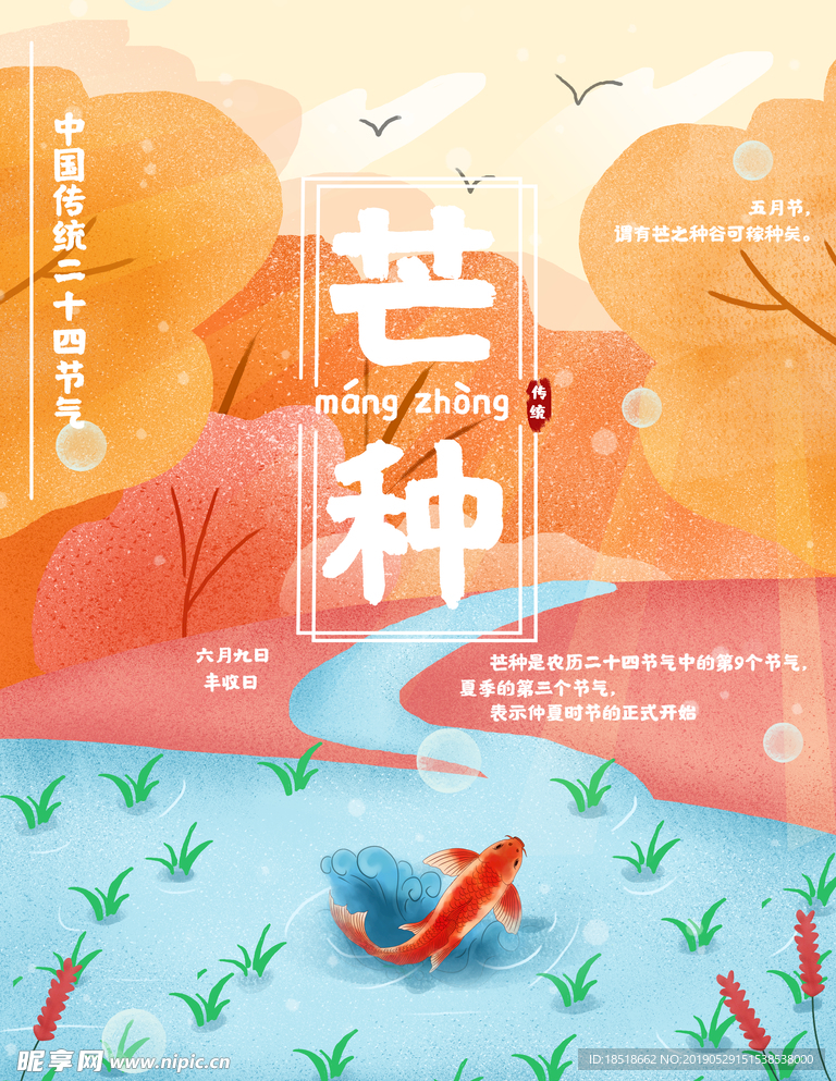 芒种 二十四节气 24节气 节