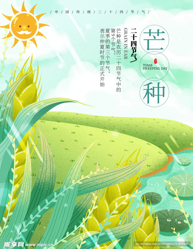 芒种 二十四节气 24节气 节