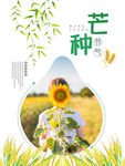 芒种 二十四节气 24节气 节