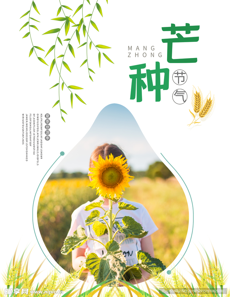 芒种 二十四节气 24节气 节