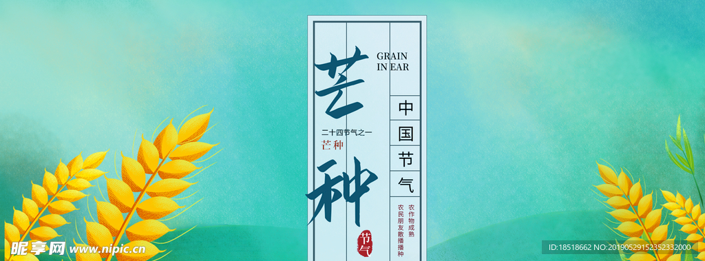 芒种 二十四节气 24节气 节
