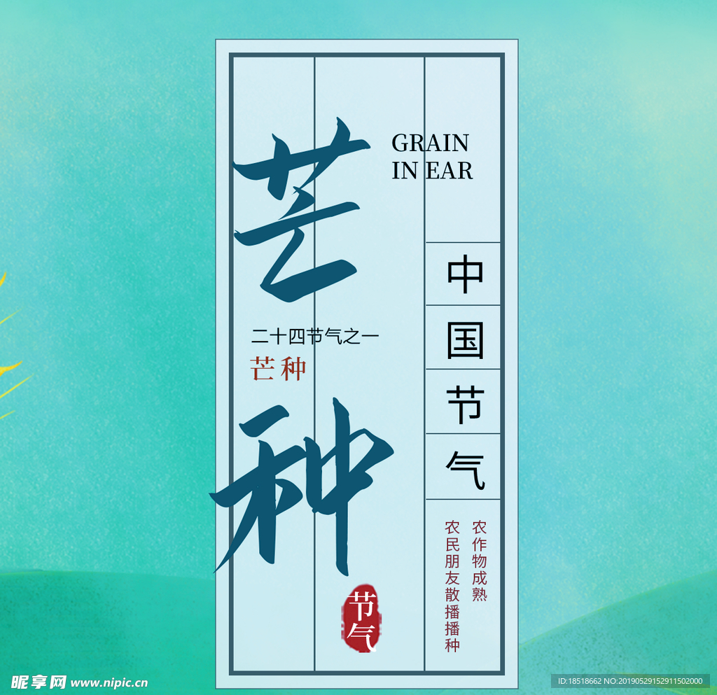 芒种 二十四节气 24节气 节