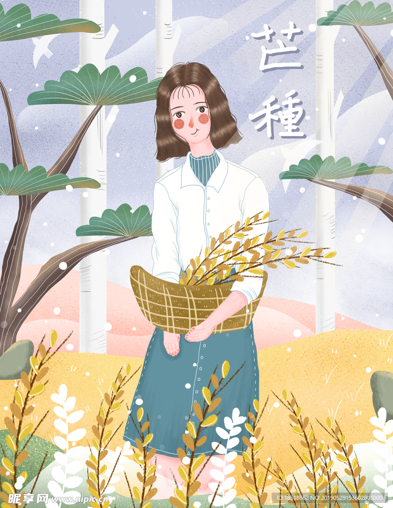 芒种 二十四节气 24节气 节