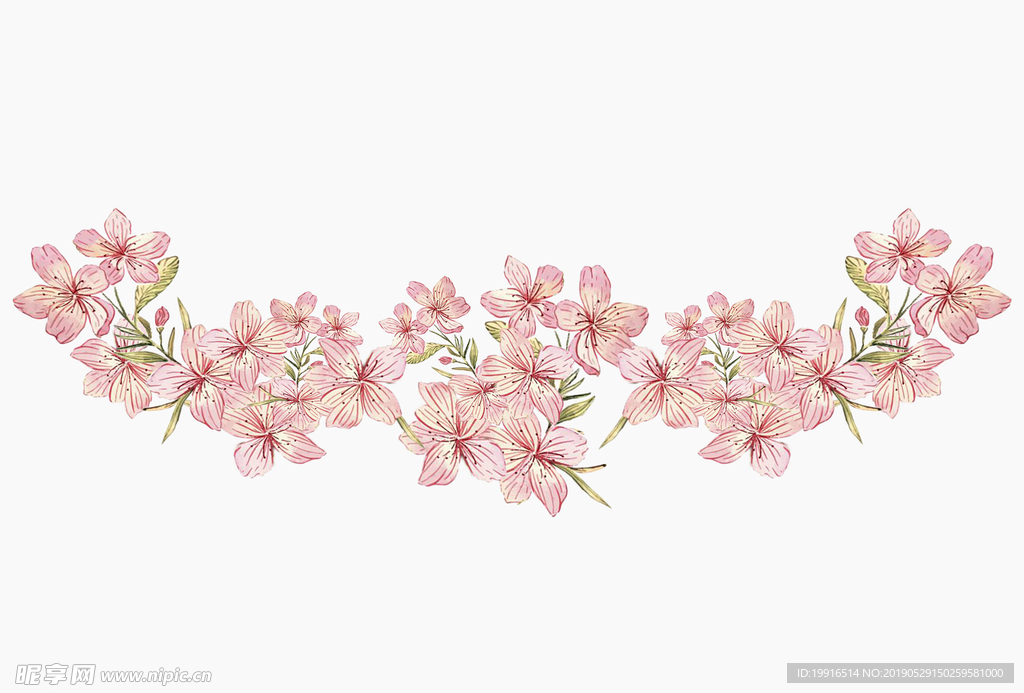 粉樱花 花边