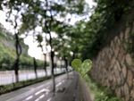 心形