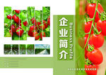 企业简介