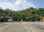 岳池特曲窖藏基地  曲酒