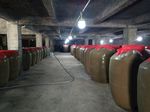 特曲窖藏基地     曲酒