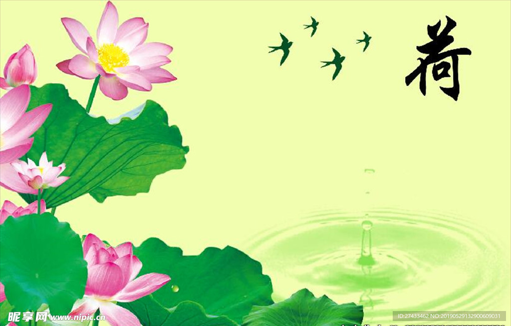 荷花