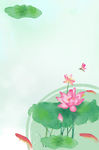 荷花背景
