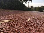 小路低角度小路