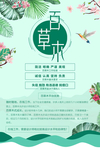 佰草木化妆品