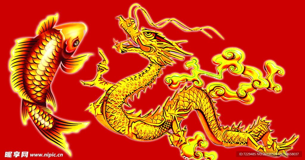 金龙 金鱼