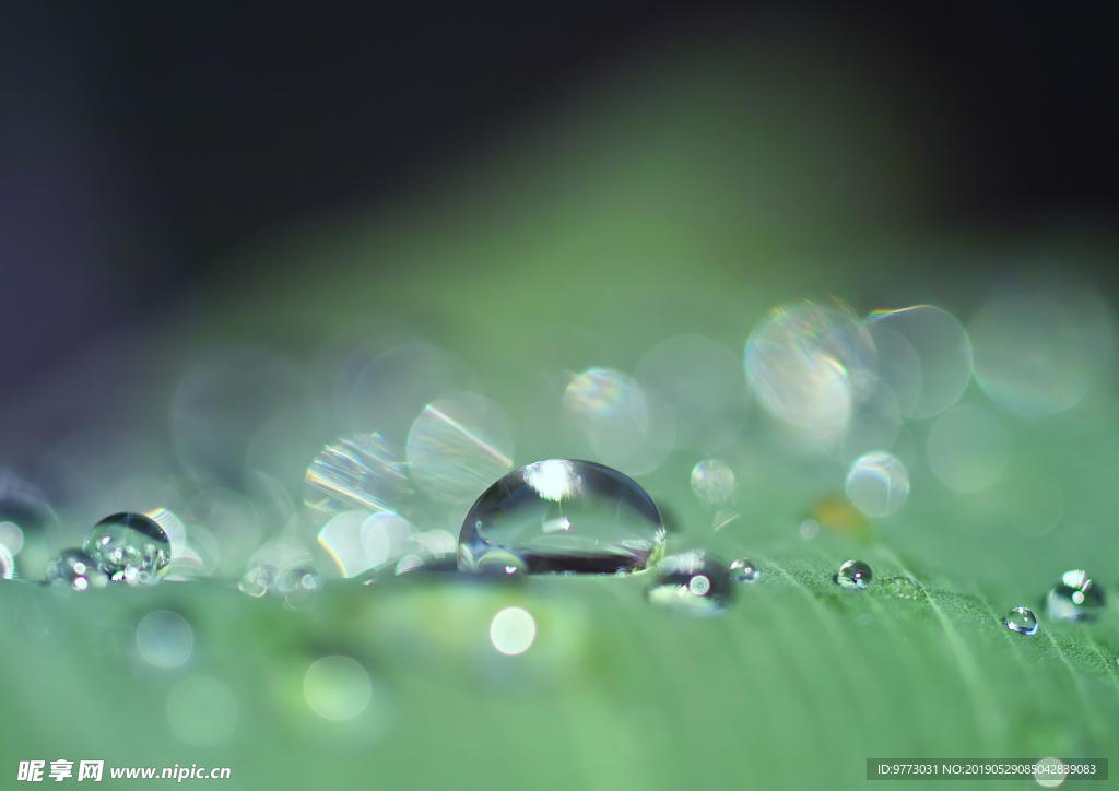 水珠