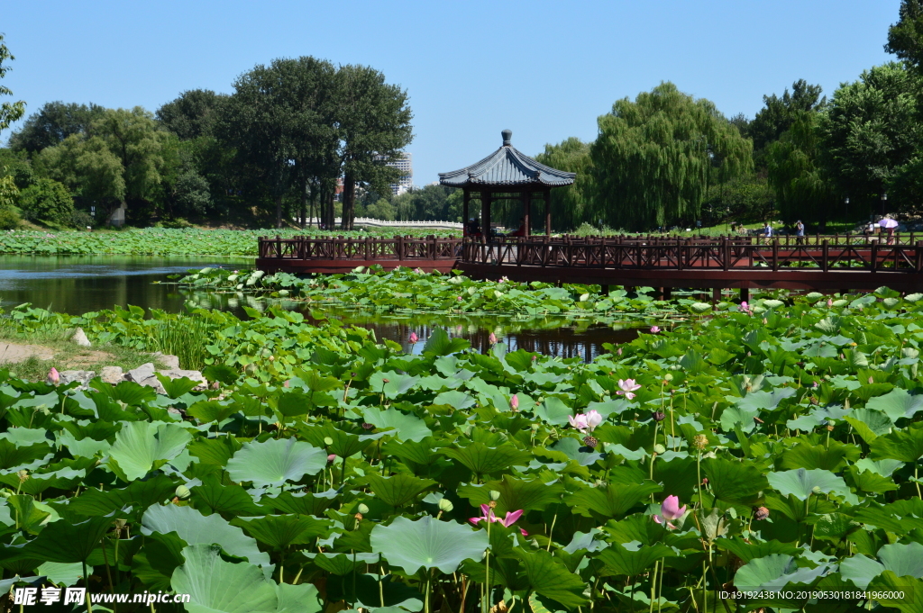圆明园风景