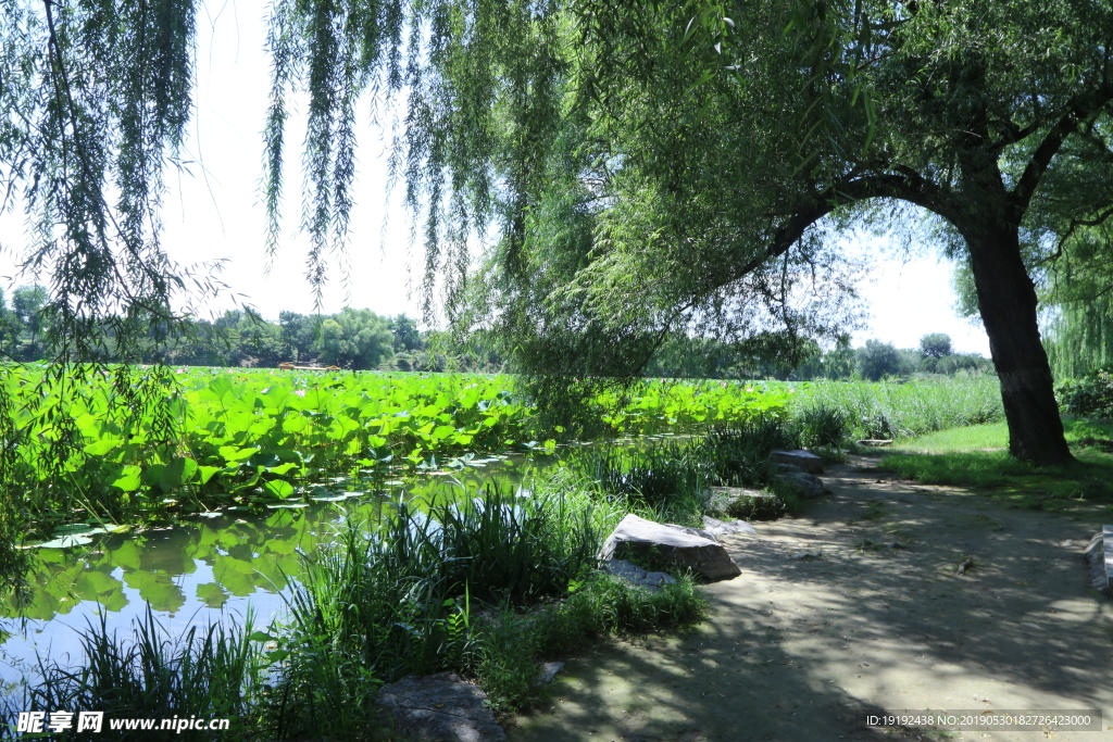 圆明园风景