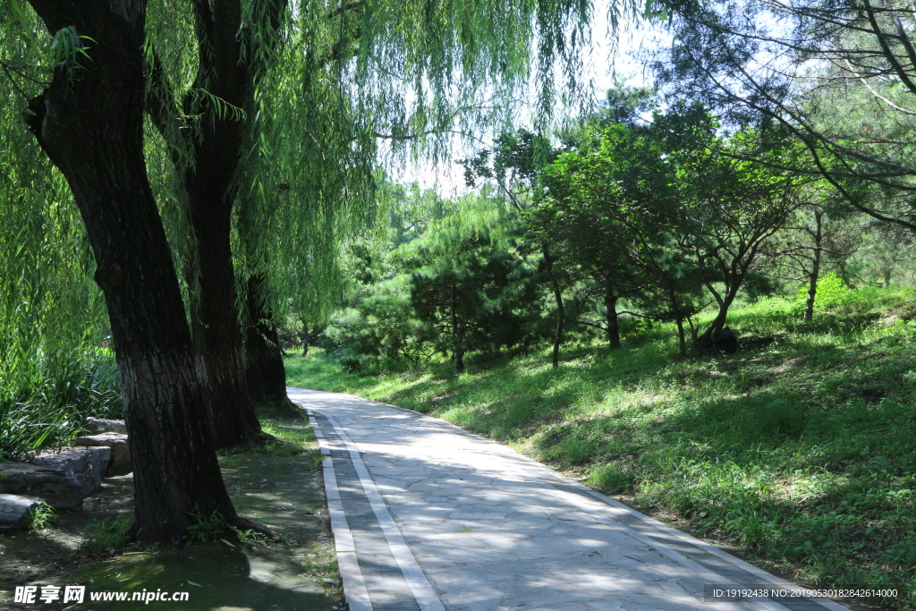 圆明园风景