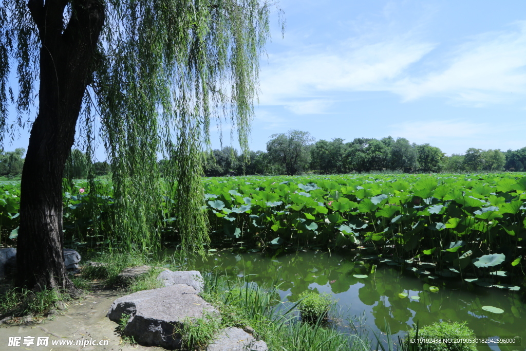 圆明园风景