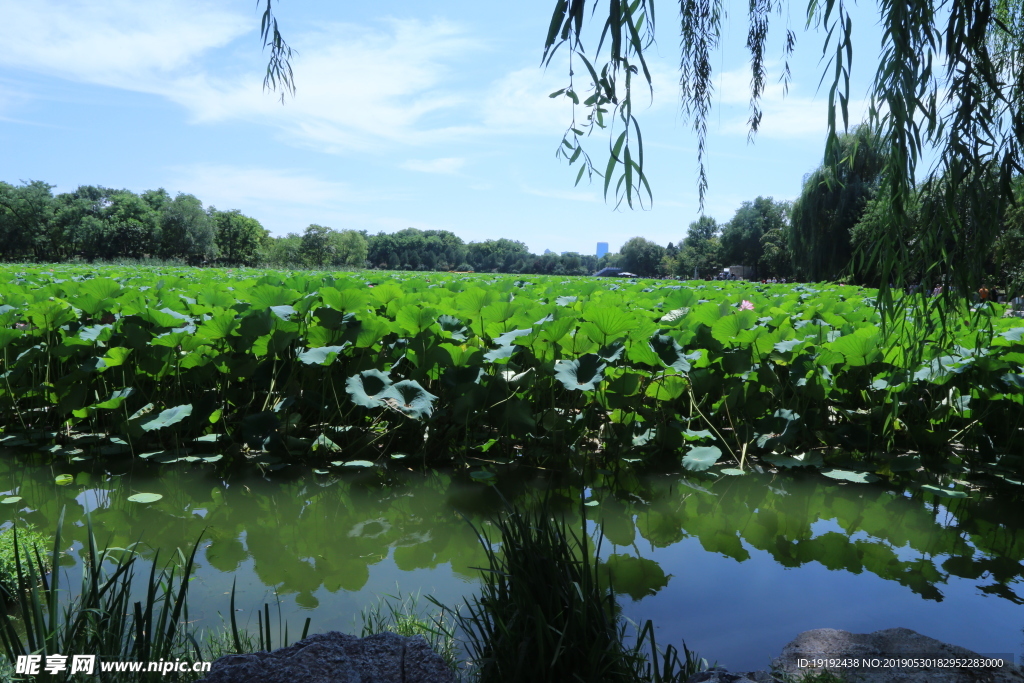 圆明园风景