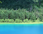风景