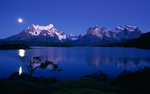 风景