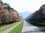 田野