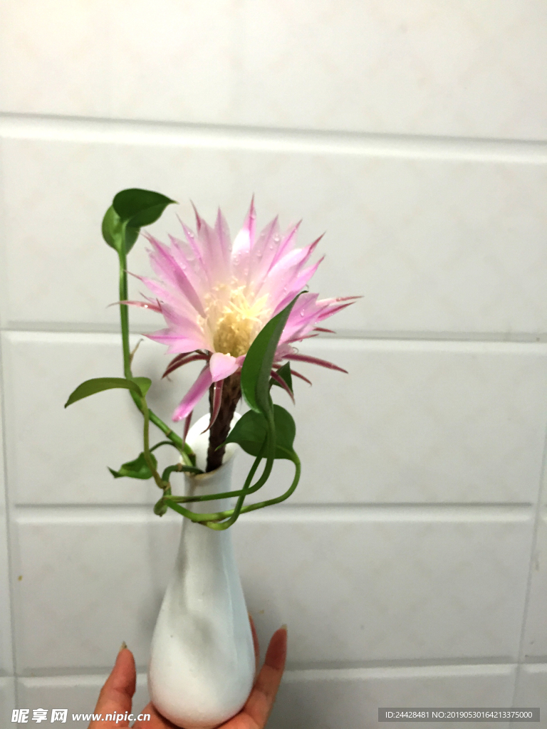 花
