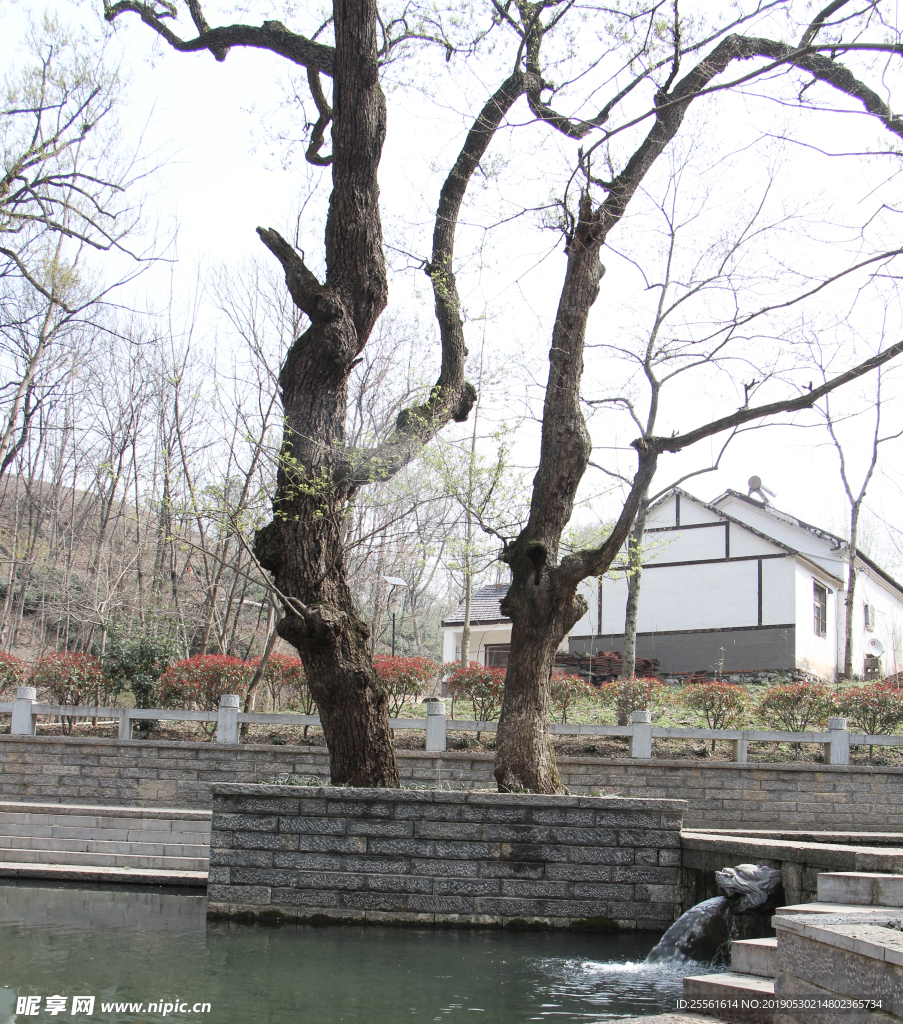 乡村