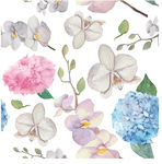 热带花