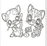 简笔画猫2